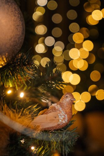 lauratoomesoo fotograaf parnus joulupildid fotostuudio 004