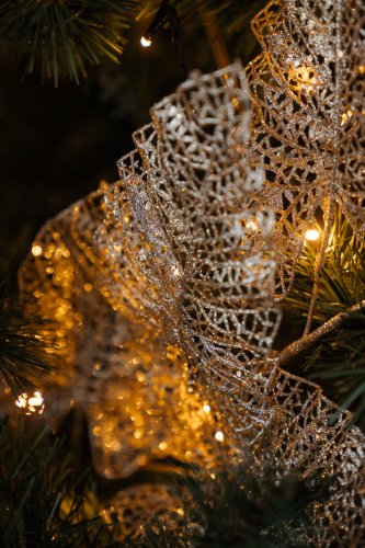 lauratoomesoo fotograaf parnus joulupildid fotostuudio 012